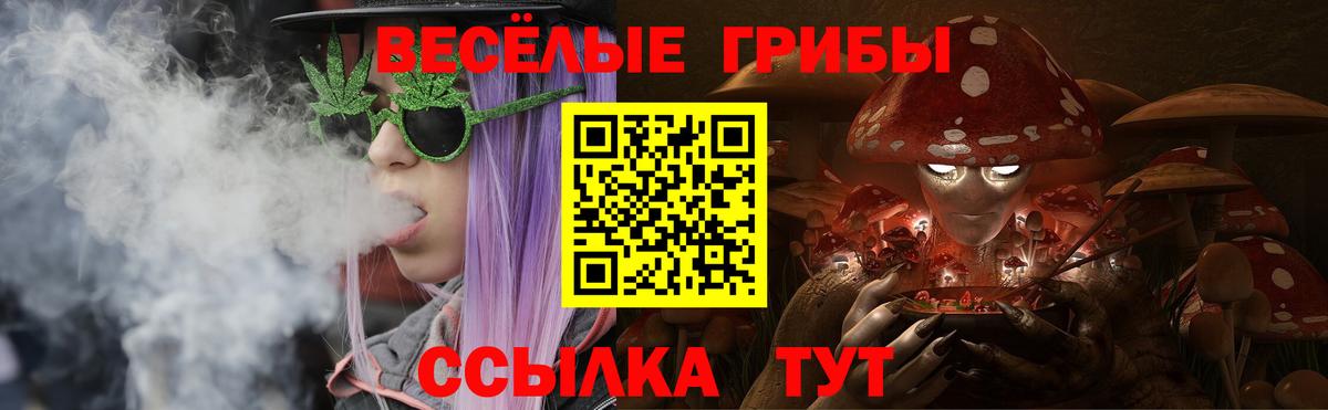 Конаково  Галлюциногенные грибы Cubensis  Вход с VPN 
